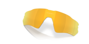 prizm 24k polarized