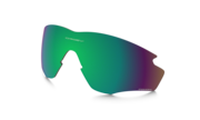 prizm shallow water polarized