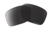 prizm black polarized