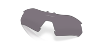 prizm grey polarized