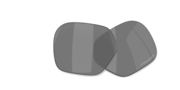 prizm black polarized