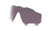 prizm daily polarized