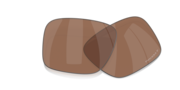 prizm tungsten polarized
