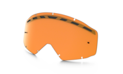 persimmon