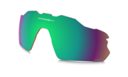 prizm shallow water polarized