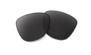 prizm black polarized