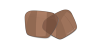 prizm tungsten polarized