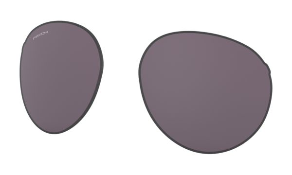 Forager (Low Bridge Fit) Replacement Lenses
