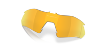 prizm 24k polarized