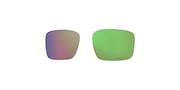 prizm shallow water polarized