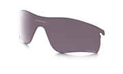 prizm daily polarized