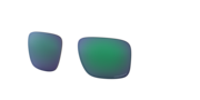 prizm jade polarized