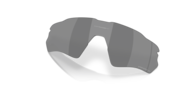 prizm black polarized