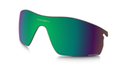 prizm shallow water polarized