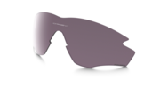 prizm daily polarized