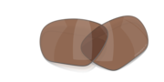 prizm tungsten polarized