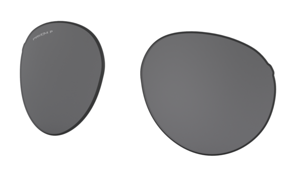 Forager (Low Bridge Fit) Replacement Lenses