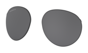 prizm black polarized