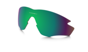 prizm shallow water polarized