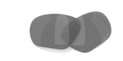prizm shallow water polarized