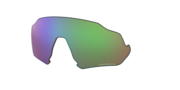 prizm shallow water polarized