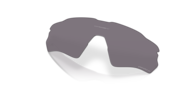prizm grey polarized