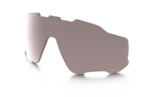 prizm grey polarized