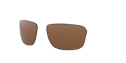prizm tungsten polarized