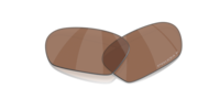 prizm tungsten polarized
