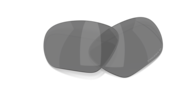 prizm black polarized