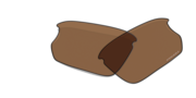 prizm bronze