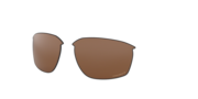 prizm tungsten polarized