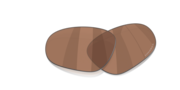 prizm tungsten polarized