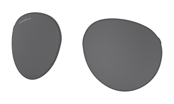 Forager Replacement Lenses