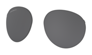 prizm black polarized