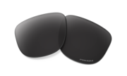prizm black polarized