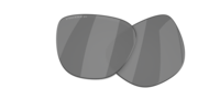 prizm black polarized