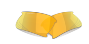prizm 24k