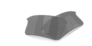 prizm black polarized