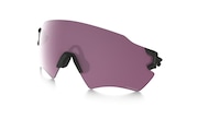 prizm sporting clay