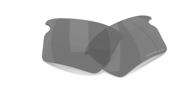 prizm black polarized