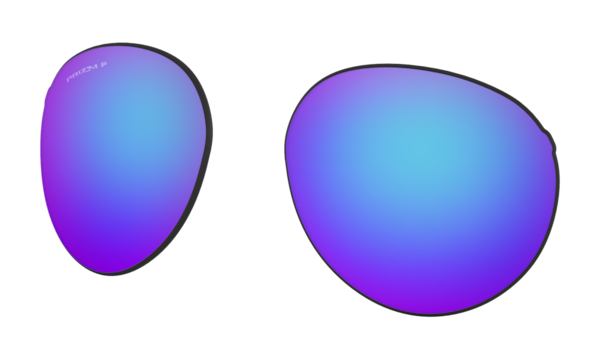 Forager (Low Bridge Fit) Replacement Lenses