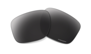 prizm black polarized