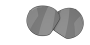prizm black polarized