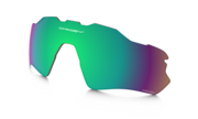 prizm shallow water polarized