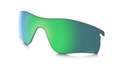 prizm jade polarized