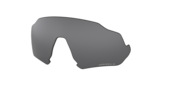prizm black polarized