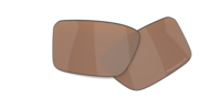 prizm tungsten polarized