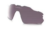 prizm daily polarized