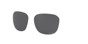 prizm black polarized
